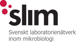 Logotyp SLIM