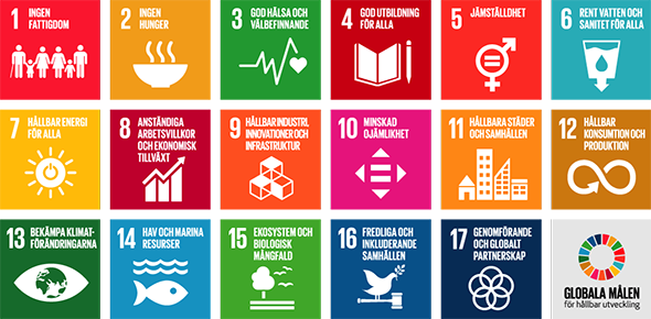 Schematisk bild över de globala målen i Agenda 2030 