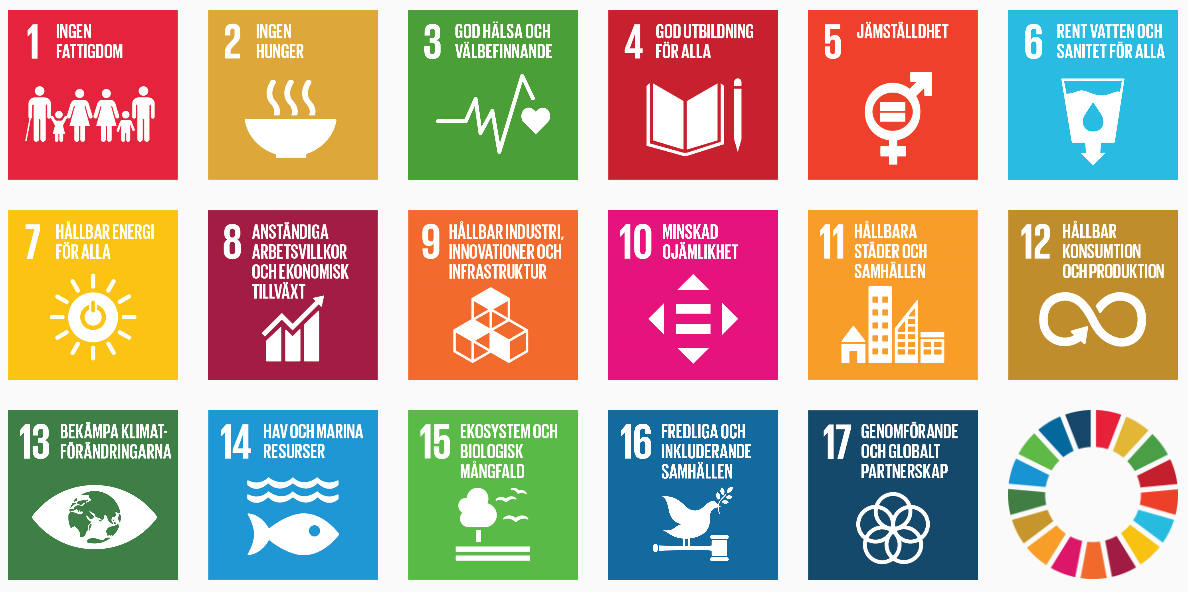 Figur 3 visar de 17 globala hållbarhetsmålen i Agenda 2030. 