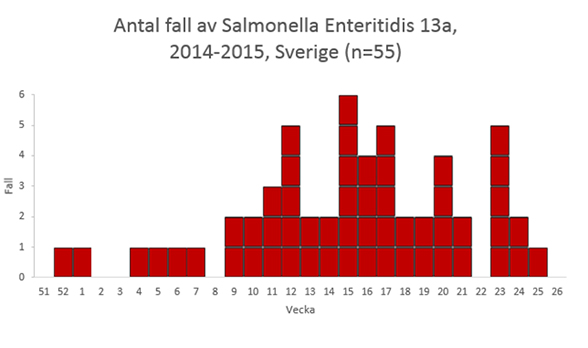 Insjukningskurva över antal fall av Salmonella Enteritidis 13 a