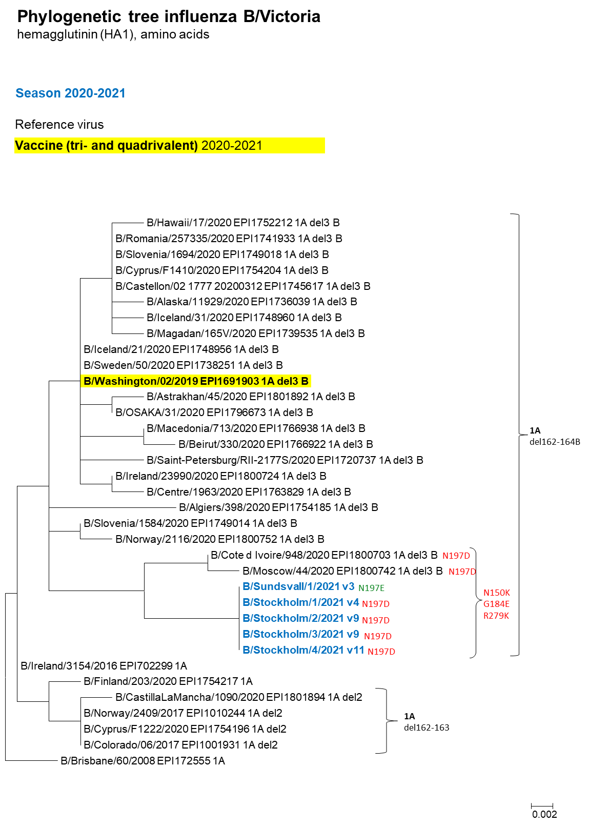 Phylogenetic tree for influenza B/Victoria.
