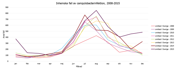 Figur 2 visar säsongsvariationen av rapporterade campylobacterfall smittade i Sverige. De allra flesta smittas under sommarmånaderna, men under 2014 och 2015 (feta streck) smittades fler än tidigare även under vintern.